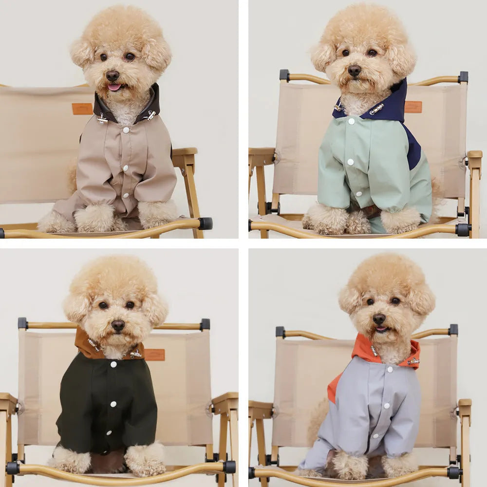 A small or medium-sized dog wearing a khaki-coloured British-style waterproof shell jacket.