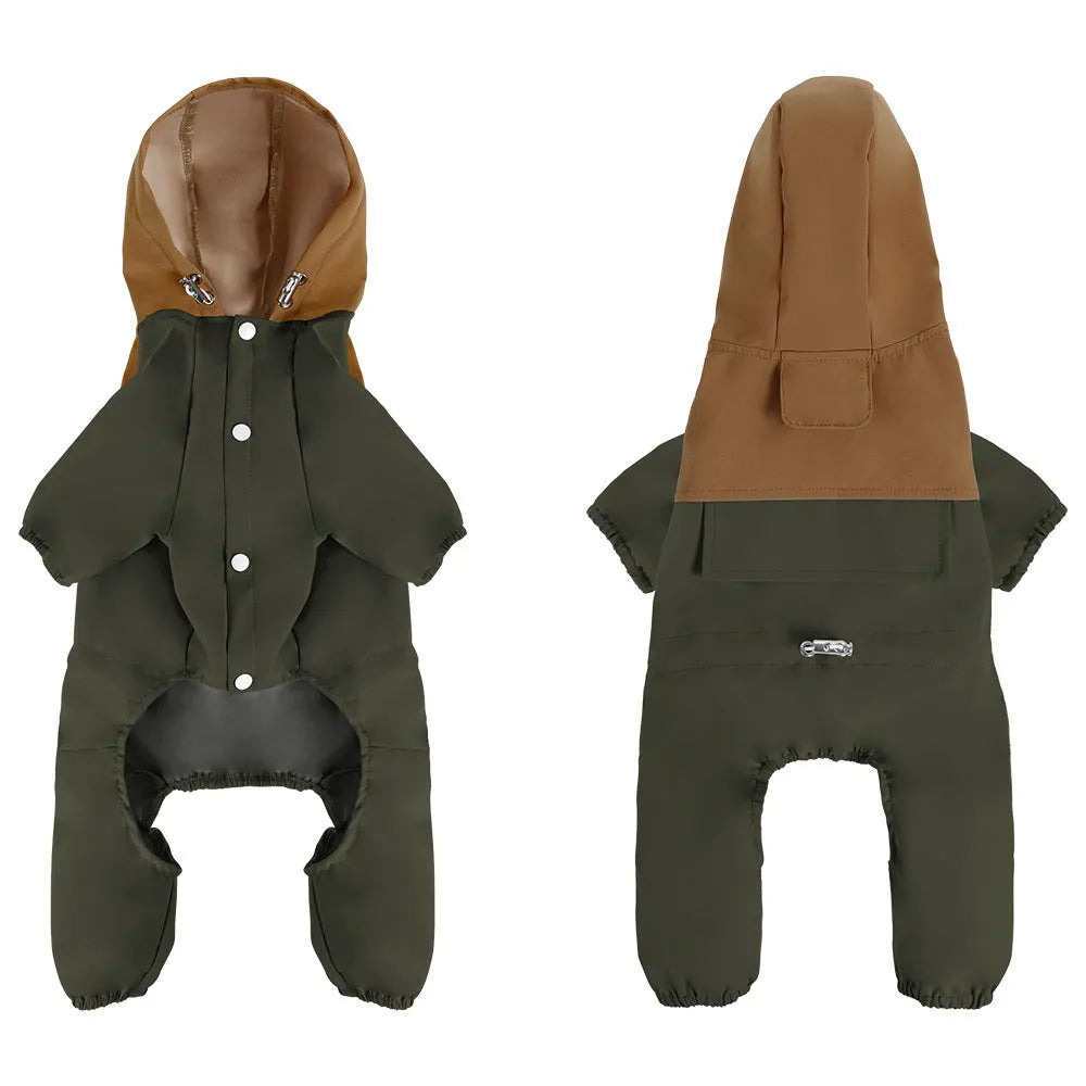 A small or medium-sized dog wearing a khaki-coloured British-style waterproof shell jacket.