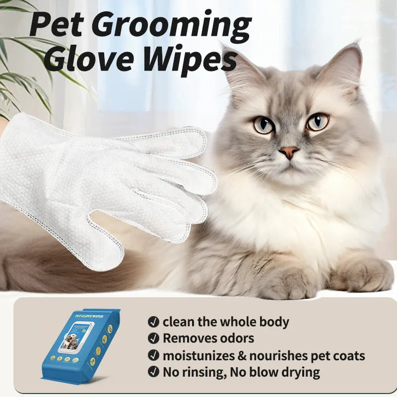 Disposable polyethylene pet gloves for cat and dog bath cleaning in multiple pack options