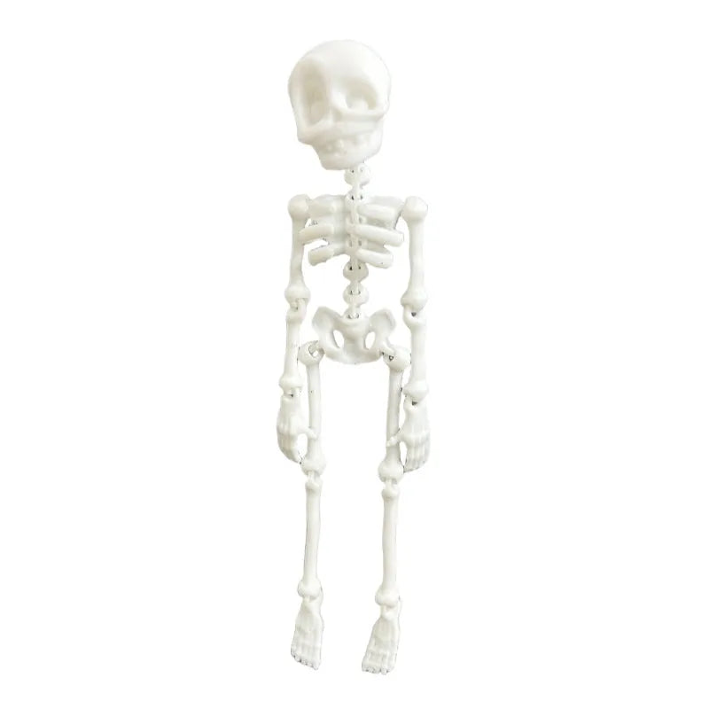 3D printed PLA skull ornament refrigerator magnet in assorted colours, 18cm high.