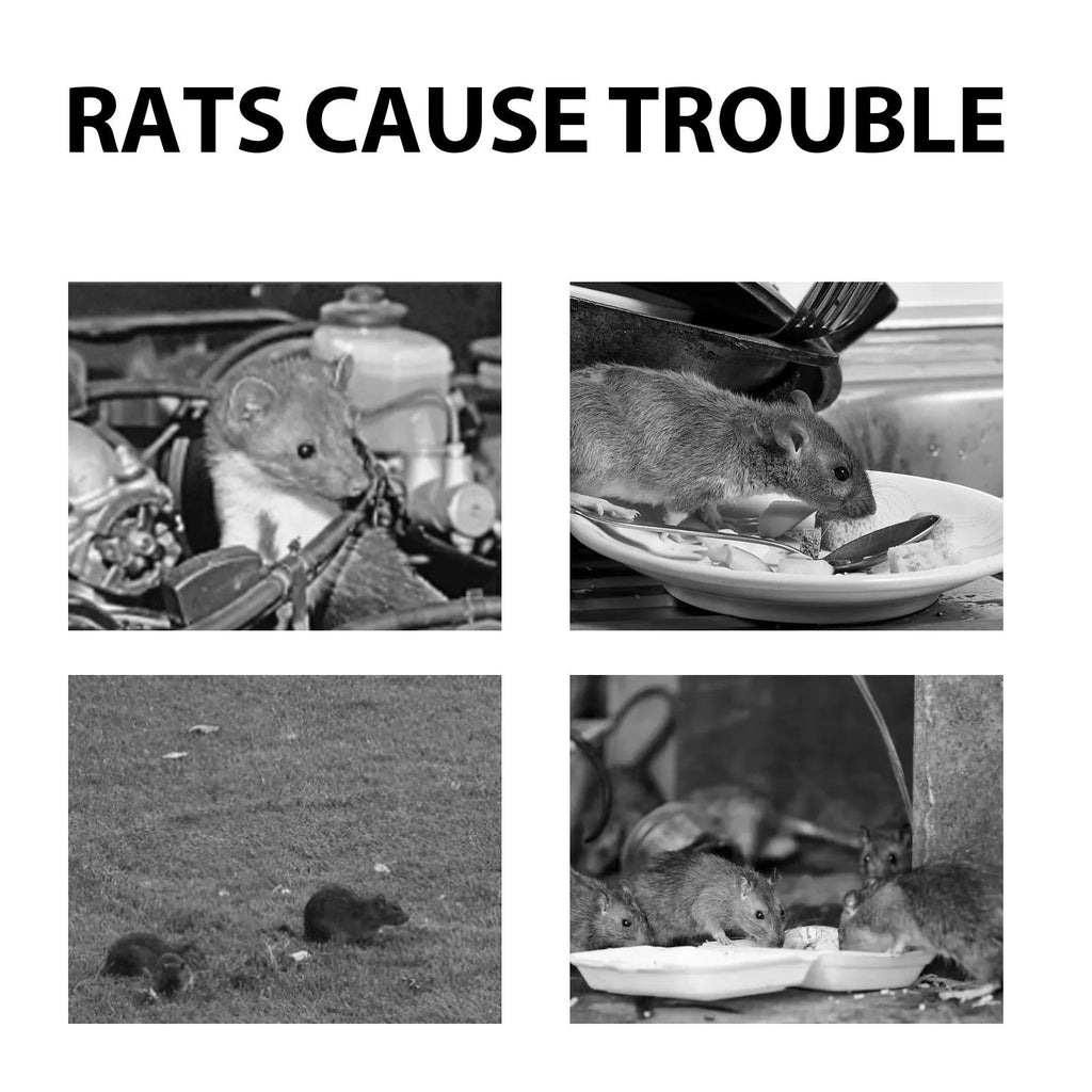 60ml bottle of natural rat repellent spray with a blend of clove, peppermint and camphor oils.
