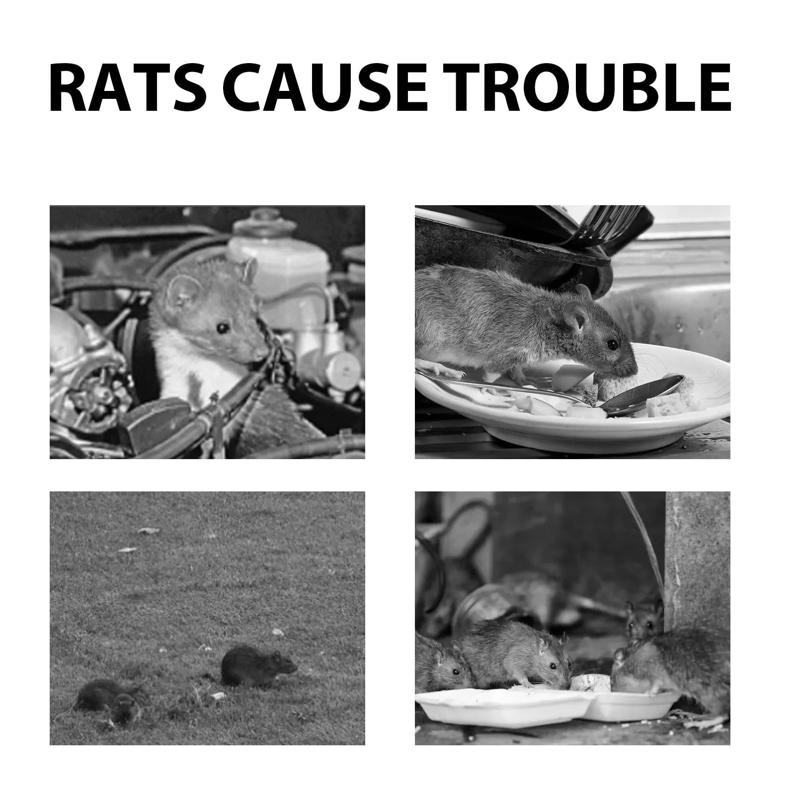 60ml bottle of natural rat repellent spray with a blend of clove, peppermint and camphor oils.