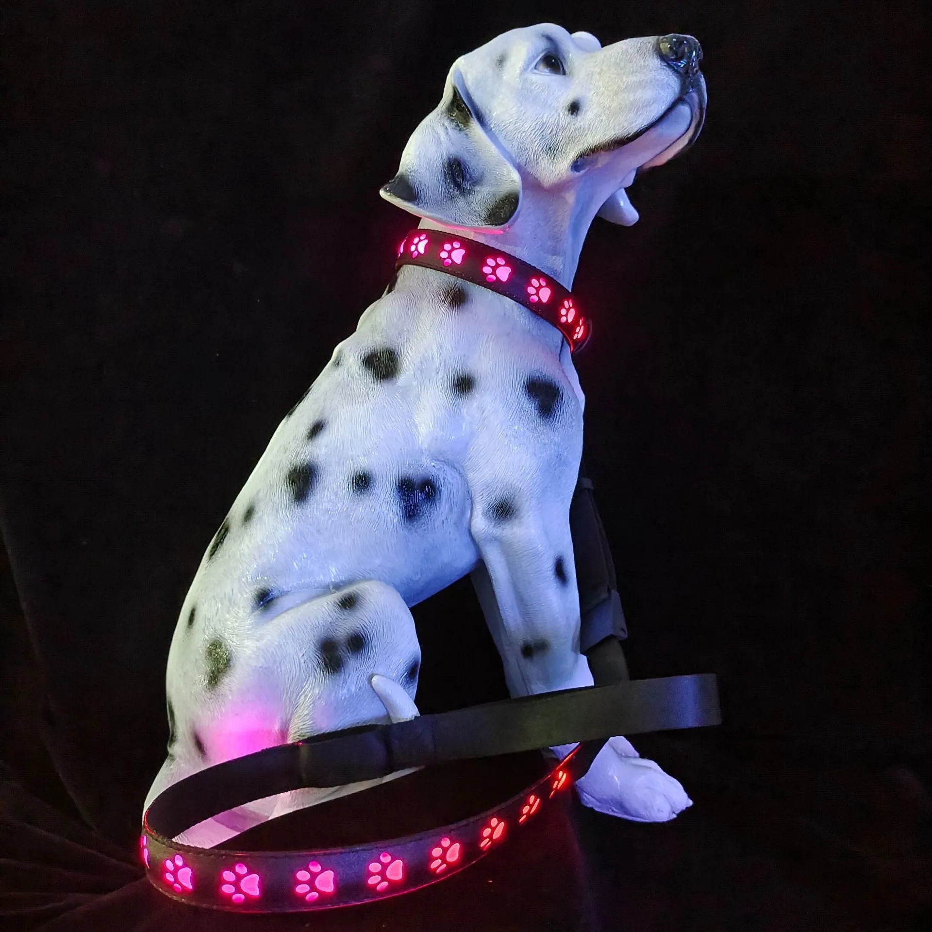 LED luminous cat collar with dog paw print design showing 7 colour-changing lights on a polyester strap.