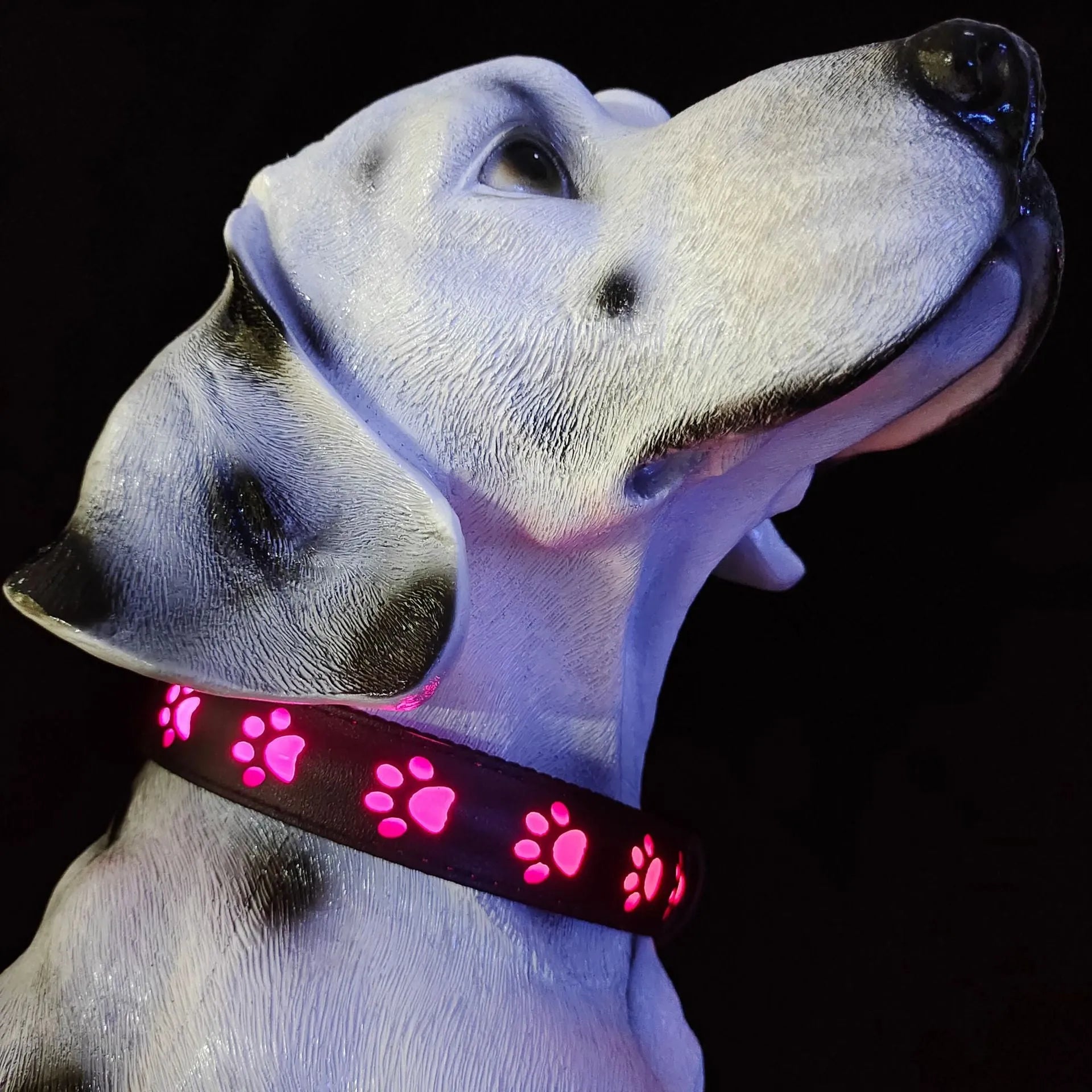LED luminous cat collar with dog paw print design showing 7 colour-changing lights on a polyester strap.
