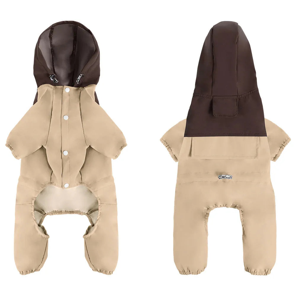 A small or medium-sized dog wearing a khaki-coloured British-style waterproof shell jacket.