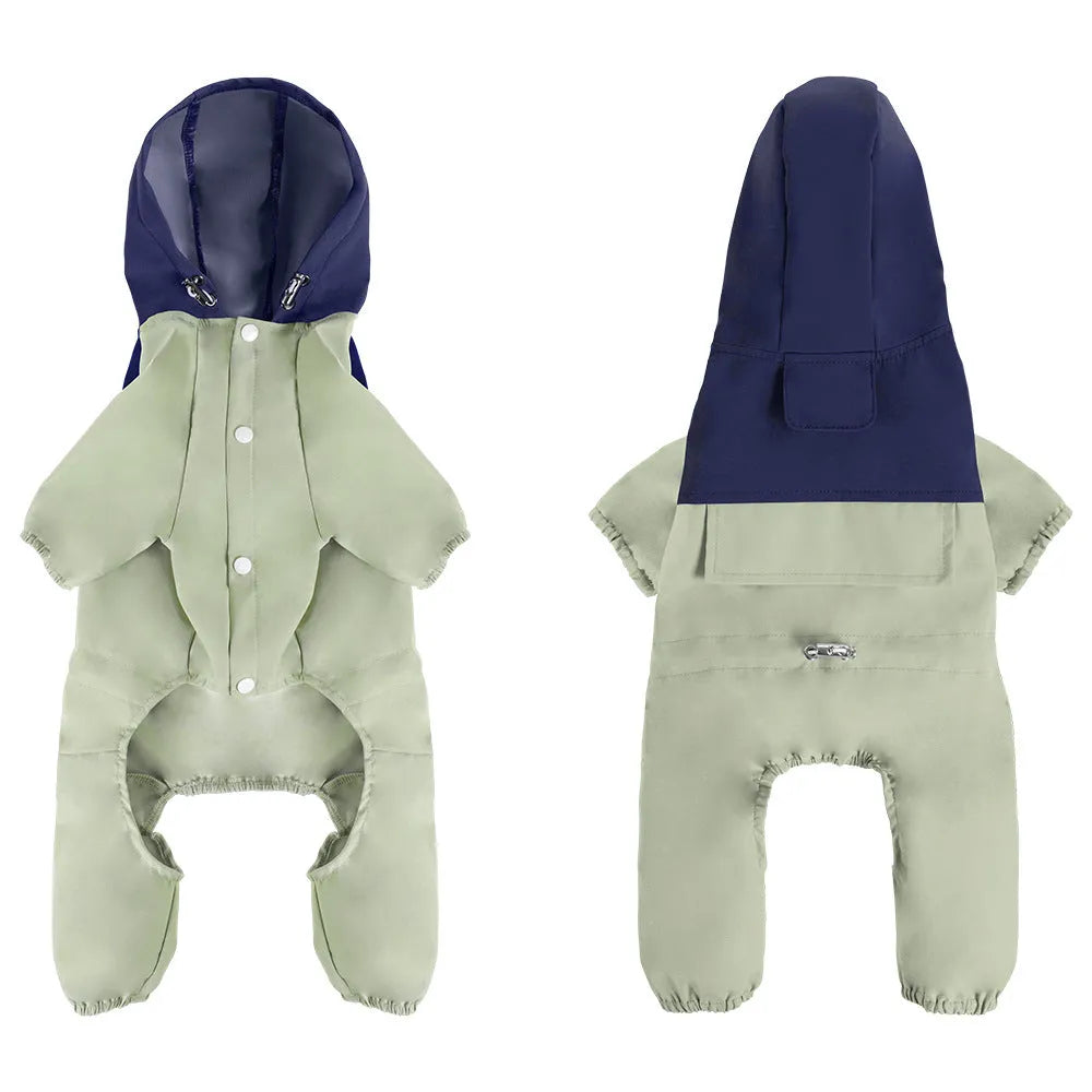 A small or medium-sized dog wearing a khaki-coloured British-style waterproof shell jacket.