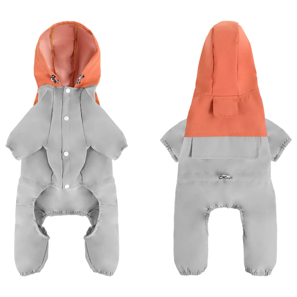 A small or medium-sized dog wearing a khaki-coloured British-style waterproof shell jacket.