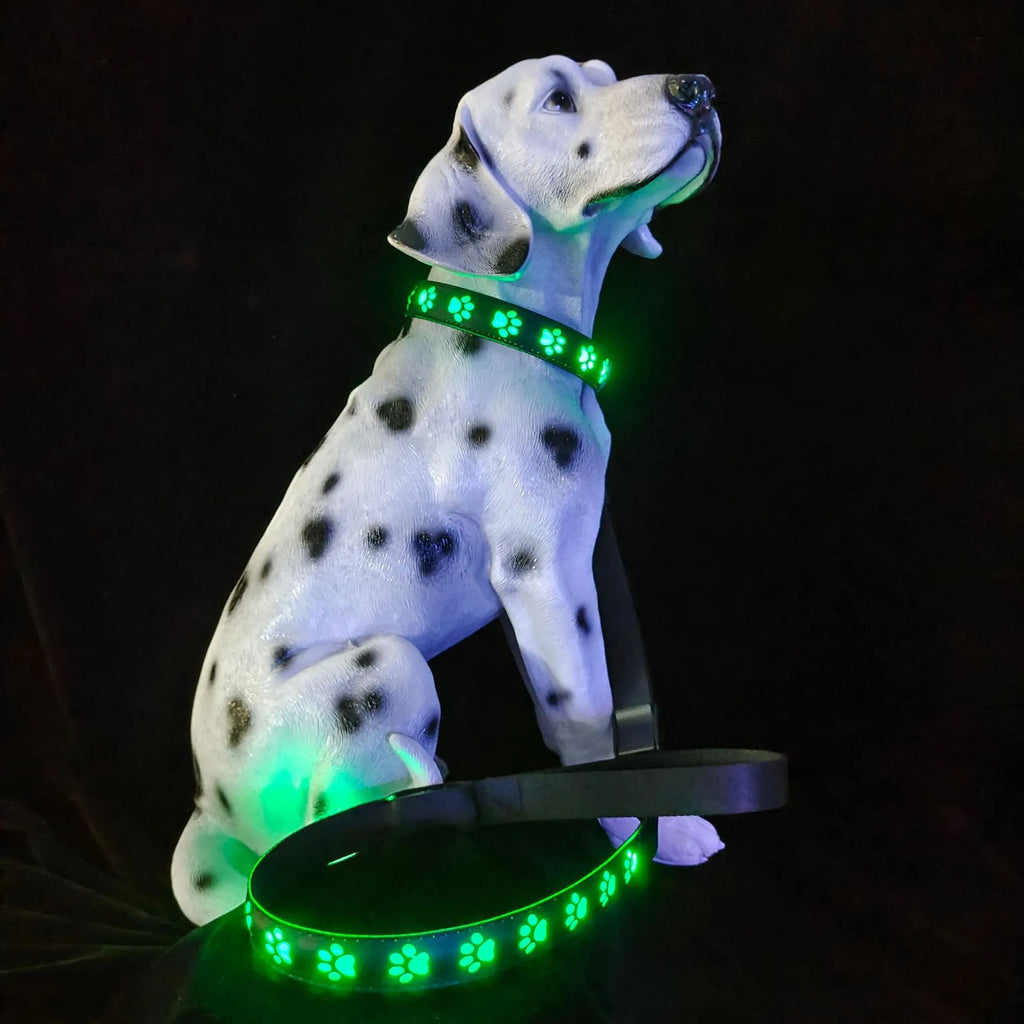 LED luminous cat collar with dog paw print design showing 7 colour-changing lights on a polyester strap.