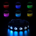 LED luminous cat collar with dog paw print design showing 7 colour-changing lights on a polyester strap.