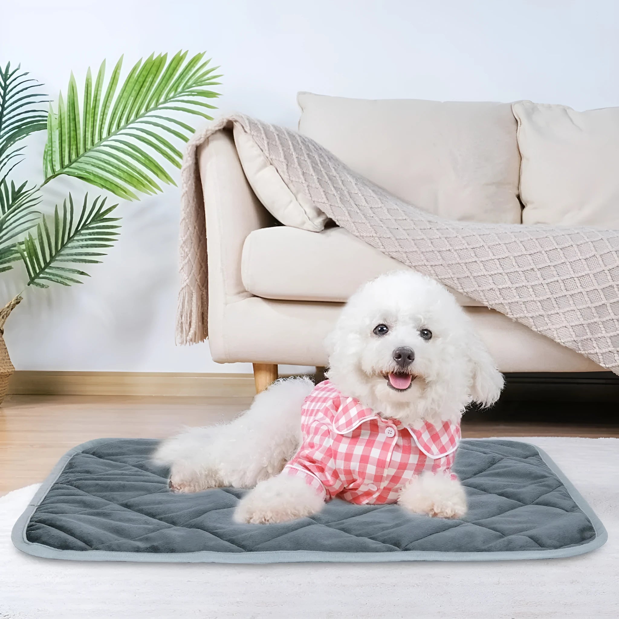 Grey rectangular cloth pet cushion shown in four different sizes on a wooden floor.