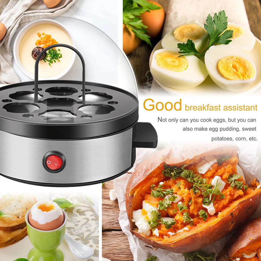 Multifunctional egg cooker mini steamer in ABS stainless steel on kitchen counter