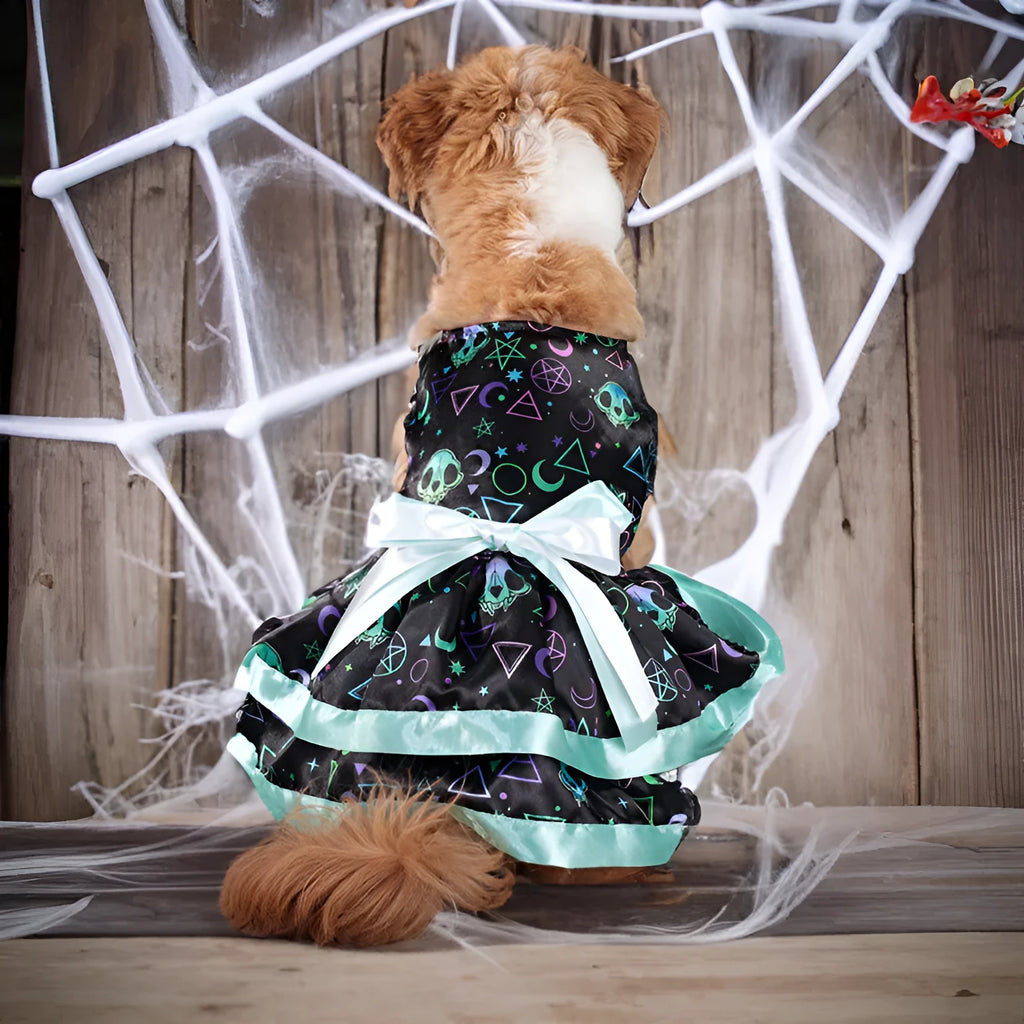 Halloween dog skirt with colourful pumpkin or skull print in polyester fabric