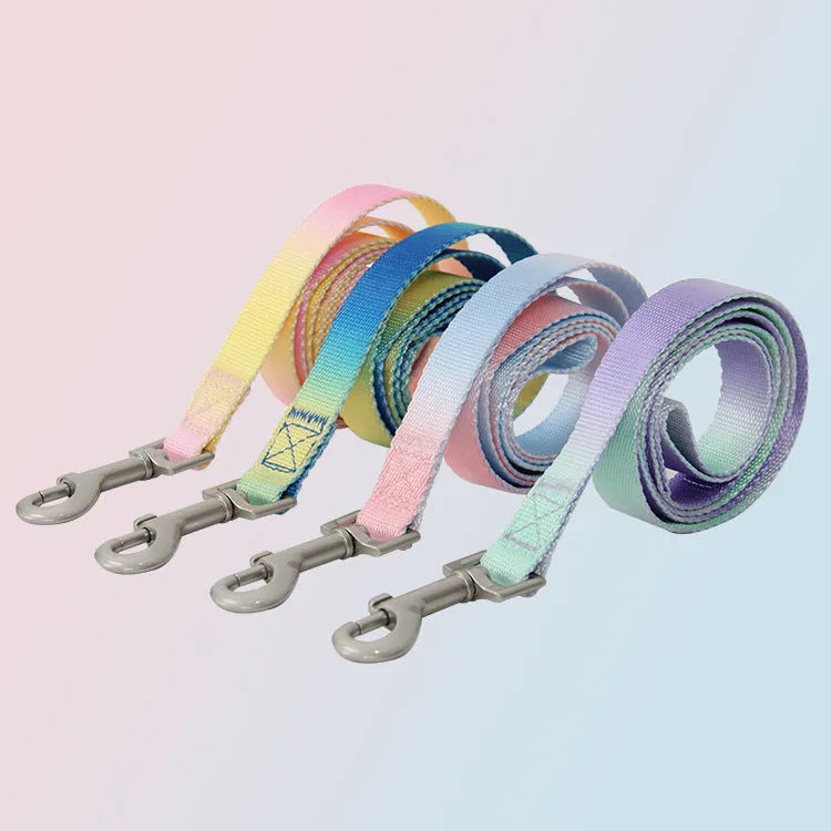 Nylon dog leash and collar set showing pink and blue gradient colour option.