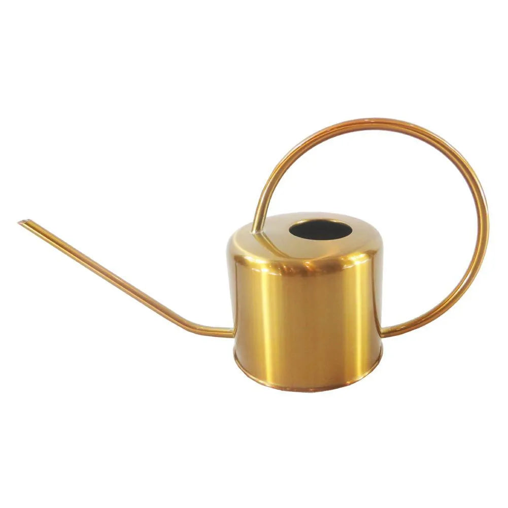Stainless steel watering can with long spout, 2 litre capacity, shown in choice of colours