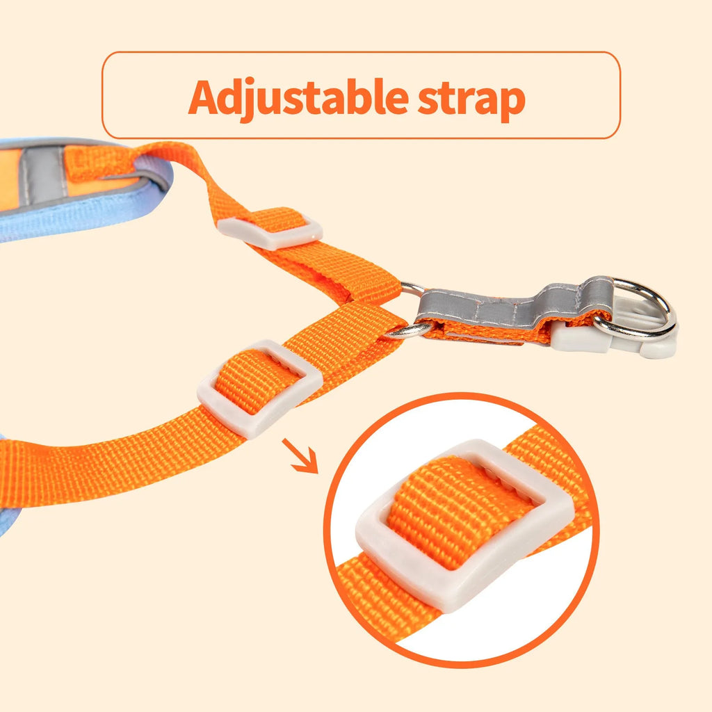 Adjustable dog rope harness in purple, blue, orange, red, brown or green with chest strap