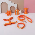 Classic velvet pet collar and traction rope set with matching bow tie, flower and accessories