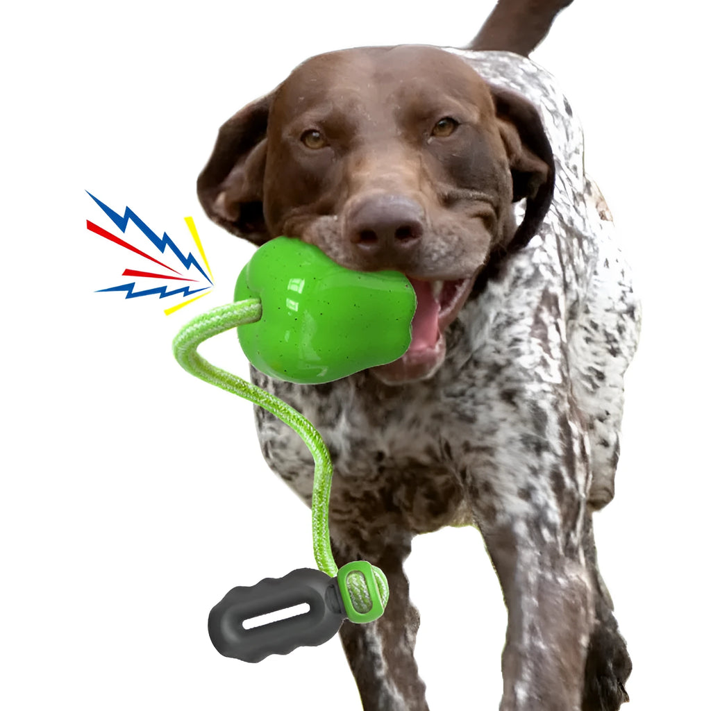 Green Apple-shaped dog chew toy with food dropping ball and textured molar surface