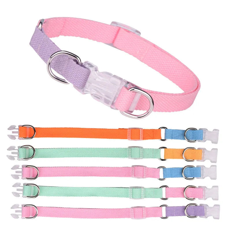 Polyester dog collar set with hand holding rope and chest strap in coordinated colour combinations