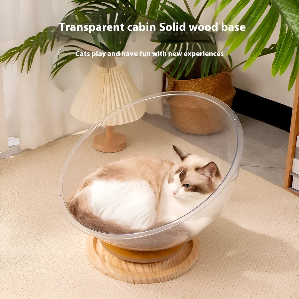Transparent acrylic space capsule cat bed with wooden base in multiple size options