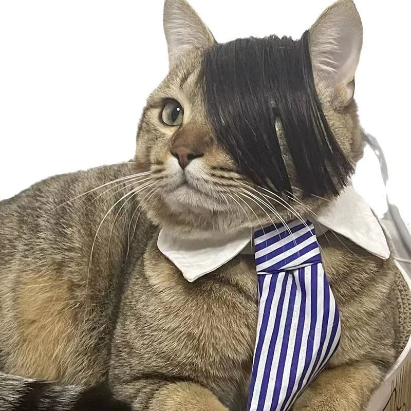Black imitation braid pet wig for cats on white background