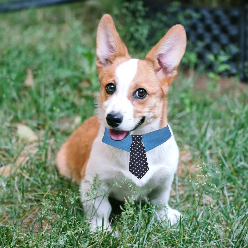 Blue denim adjustable dog collar with a black bow tie featuring white star patterns.