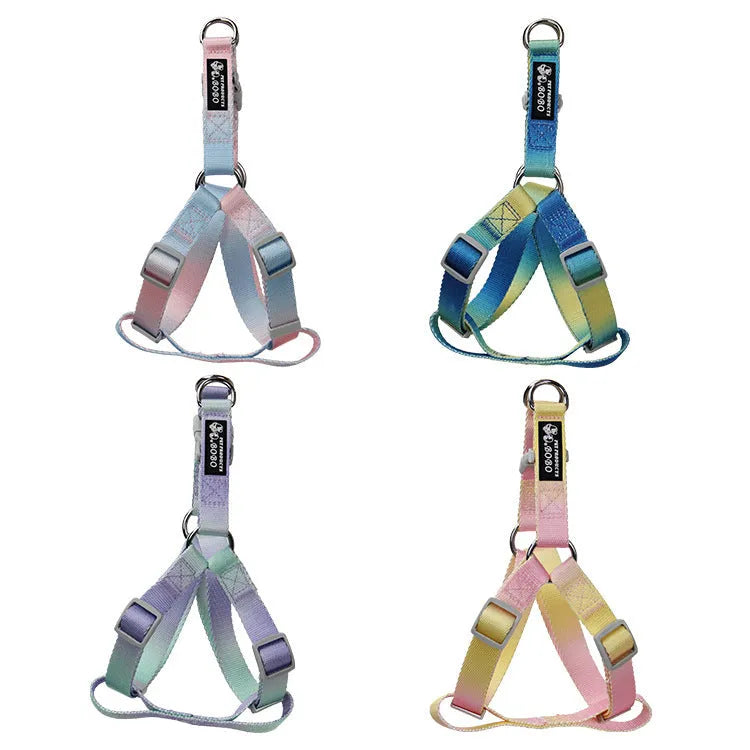 Nylon dog leash and collar set showing pink and blue gradient colour option.