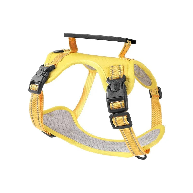 Polyester dog chest harness and lead set in multiple colours including Lake Blue, pink, and yellow
