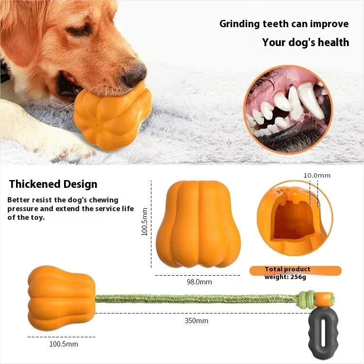 Pumpkin orange plastic dog chew toy with attached rope for tugging and fetching.
