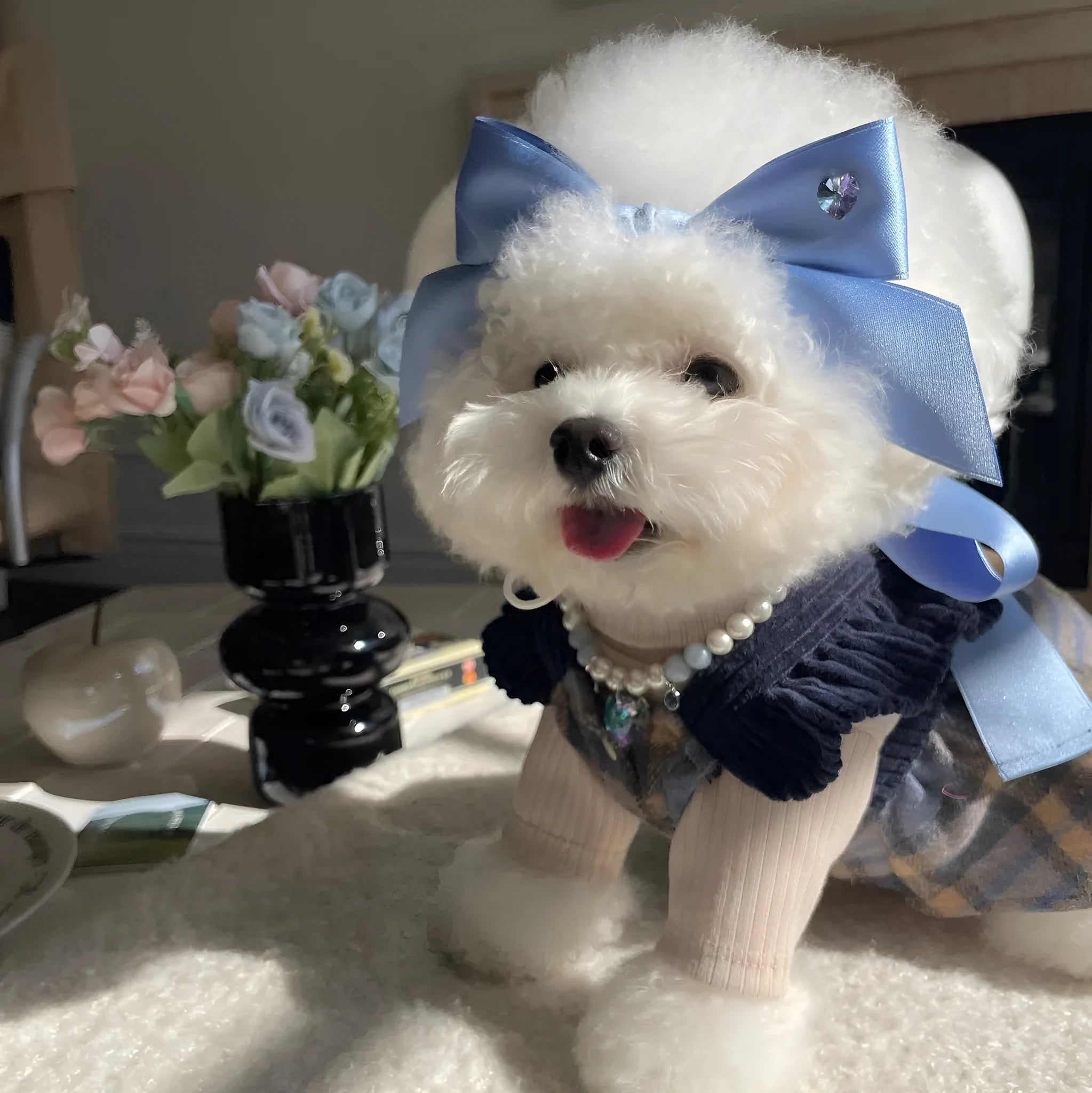 Princess style dog hair band with adjustable bow on canine model showing jacquard fabric detail