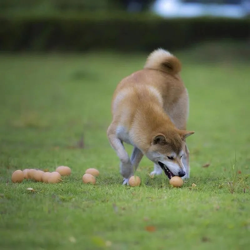 Egg-shaped dog toy with textured surface for tooth cleaning and sound feature