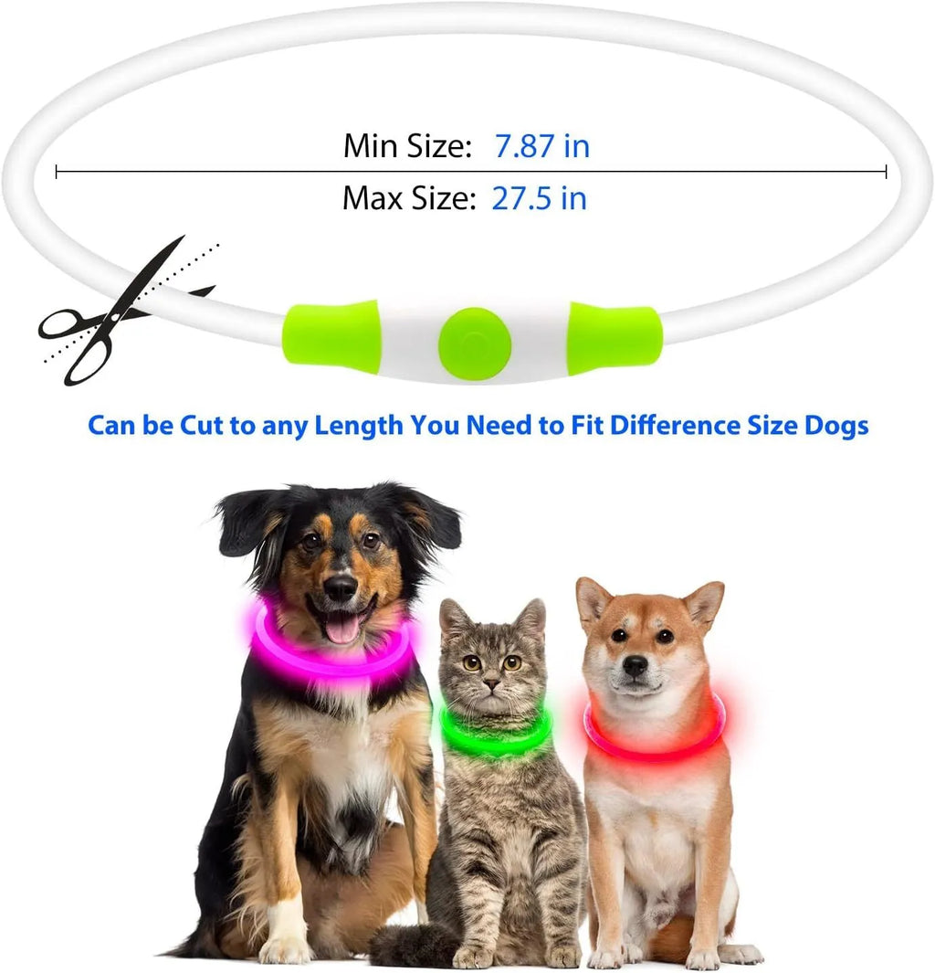 Blue USB rechargeable LED dog collar glowing around a dog's neck at night.