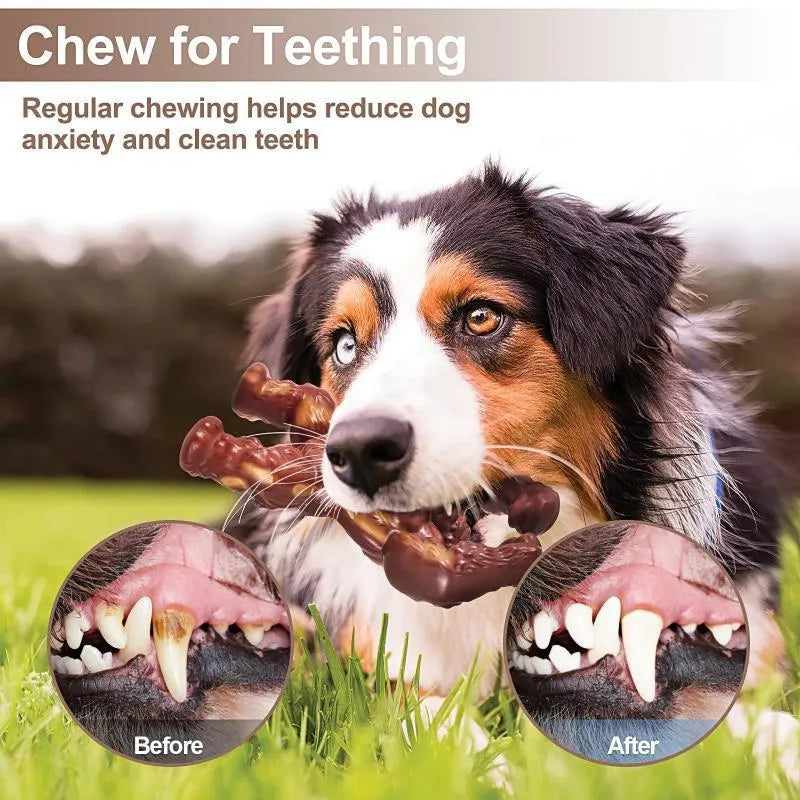 Scarlet red nylon dog chew toy with textured surface for dental care