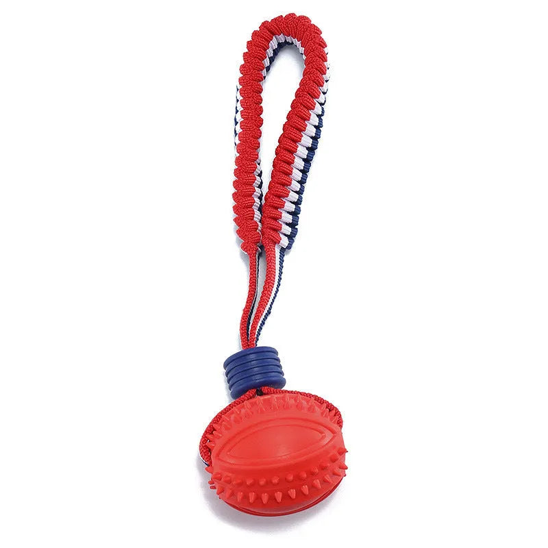 Blue dog ball with rope toy showing textured rubber surface and rope attachment for small breed dogs