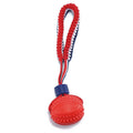 Blue dog ball with rope toy showing textured rubber surface and rope attachment for small breed dogs
