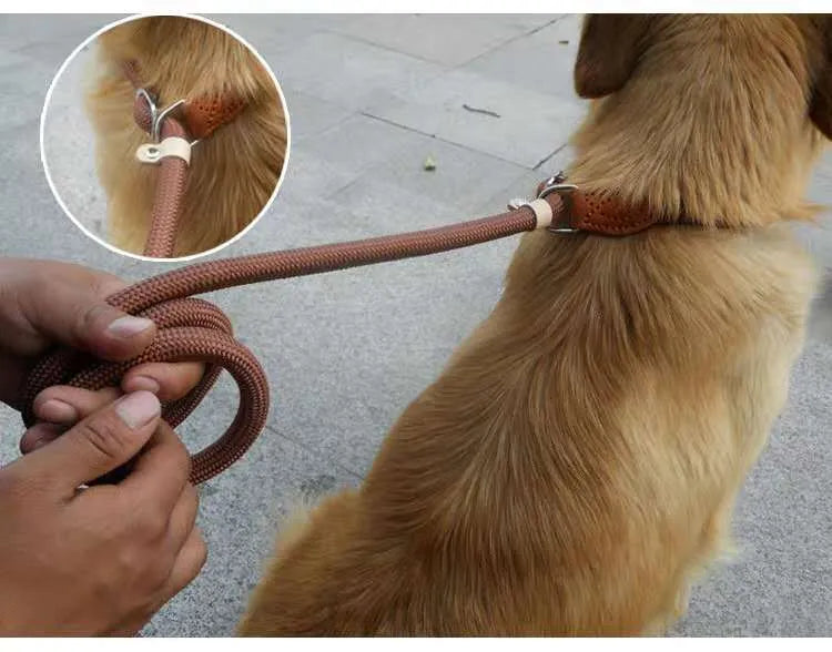 Brown nylon dog leash with P chain hand holding rope, shown at full 2.1 metre length.