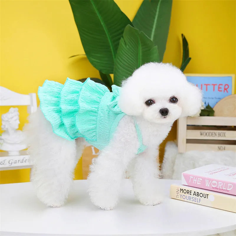 Small dog wearing candy layered skirt princess dress in rose red colour