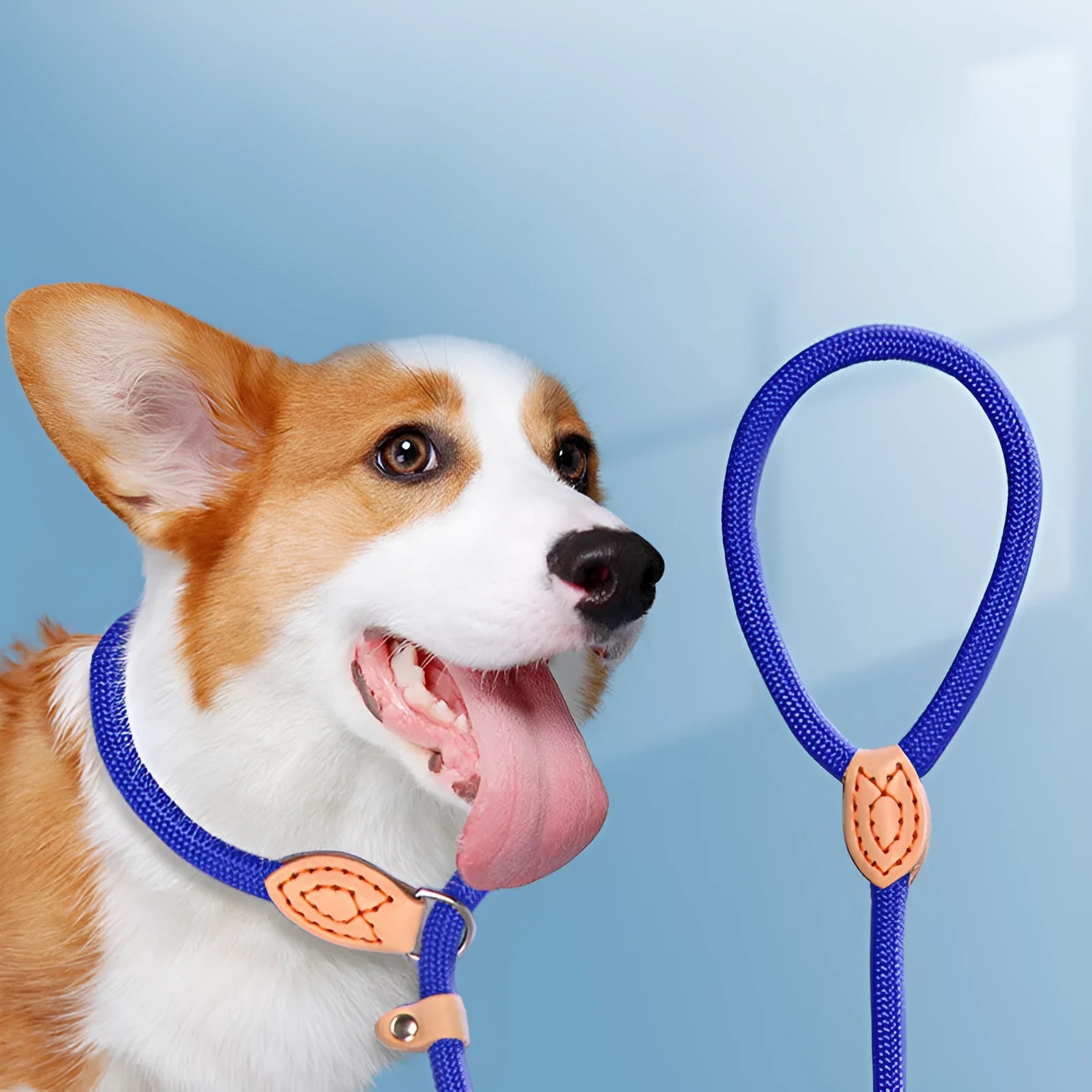 Rope dog training leash with integrated automatic tightening collar for blast race exercises