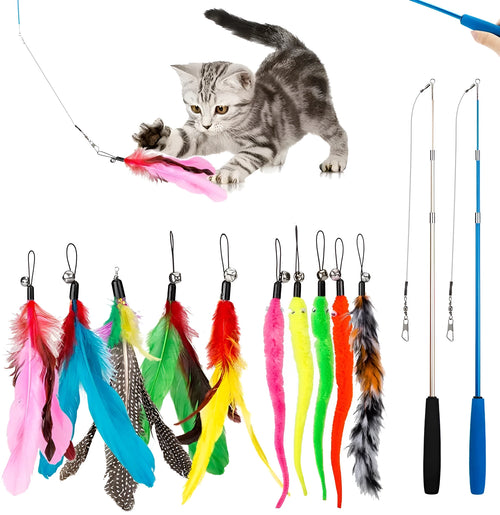 Cat teasing rod set with extendable wand and feather replacement heads