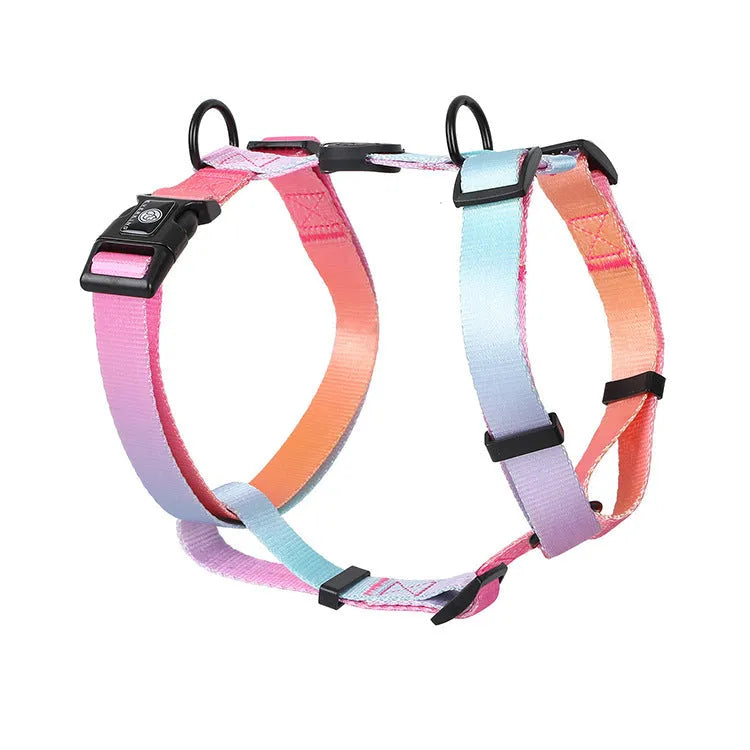 Gradient colour pet chest strap harness in purple, blue, neon, or green patterns.