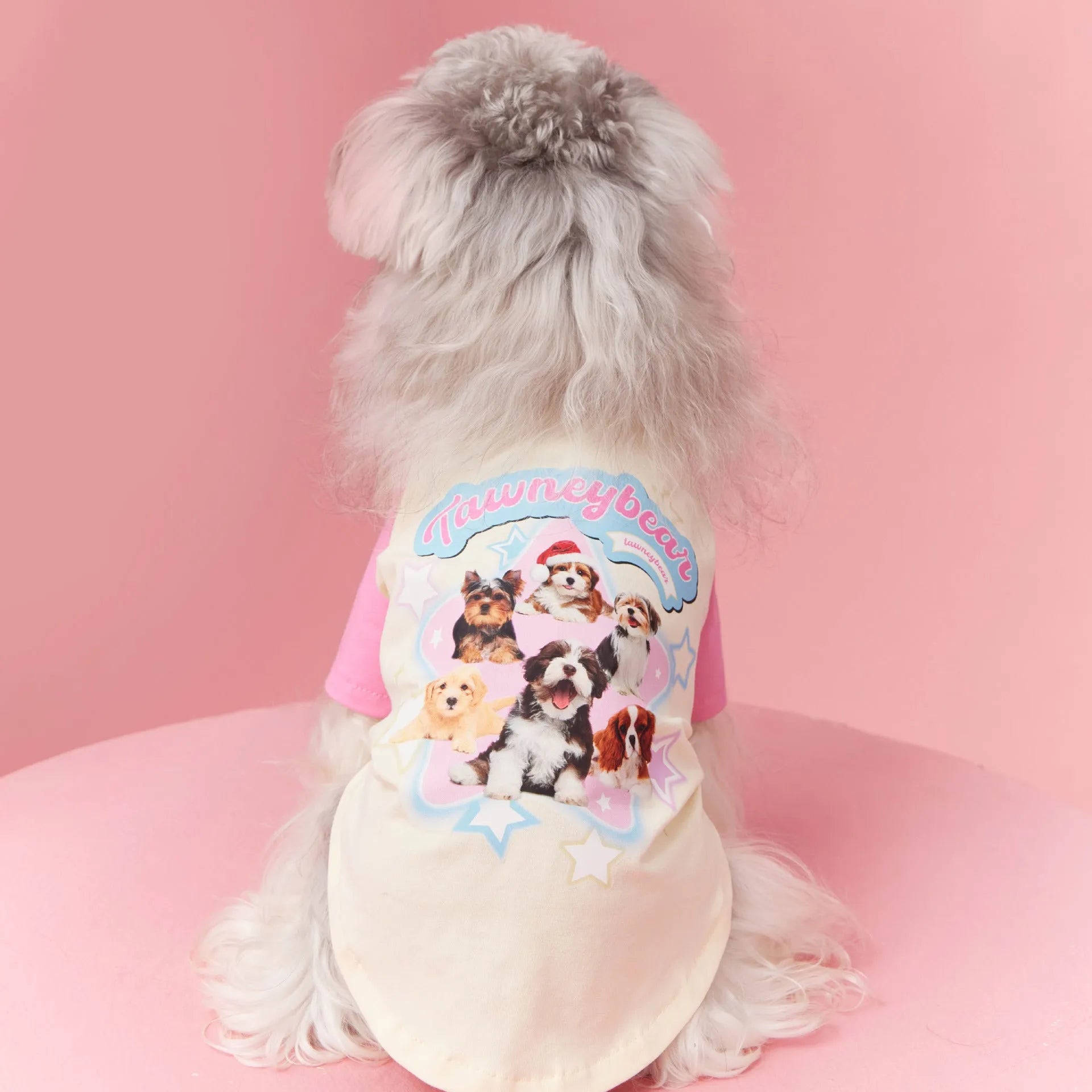 Red and pink embroidered cotton summer clothes for a dog on a size scale from XS to XXL.