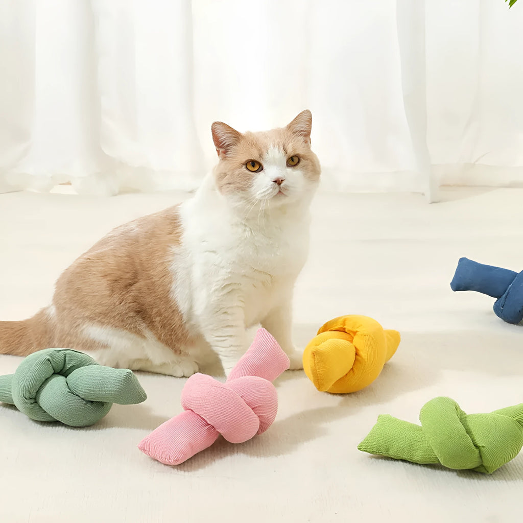 White natural cotton dog rope toy with multiple knots for tugging and chewing