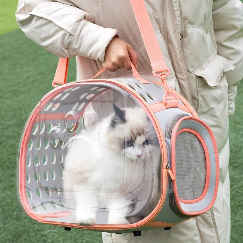 Transparent hard-sided cat carrier backpack in lake blue colour showing interior space and backpack straps