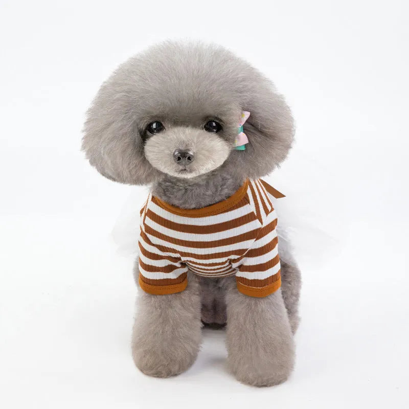 Bears Teddy cotton pet skirt for female dogs in coffee colour