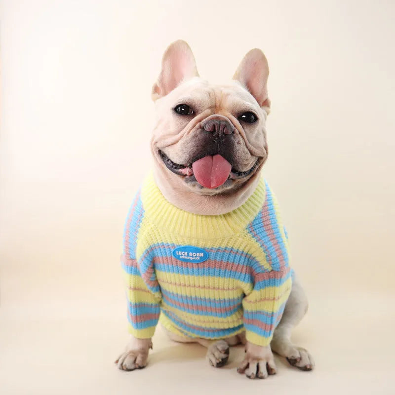 Blue and yellow striped wool dog sweater for small breeds like Schnauzer and Bichon