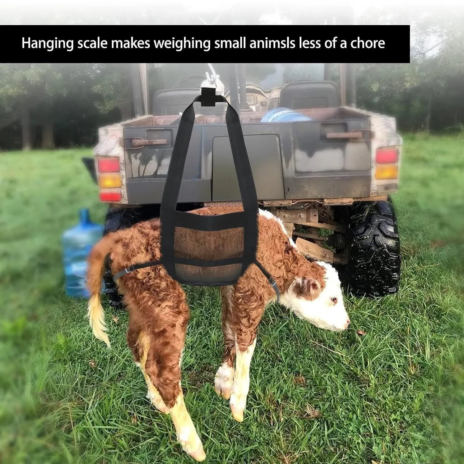 Black polyester weighing sling for calves and large dogs, showing four carry handles.