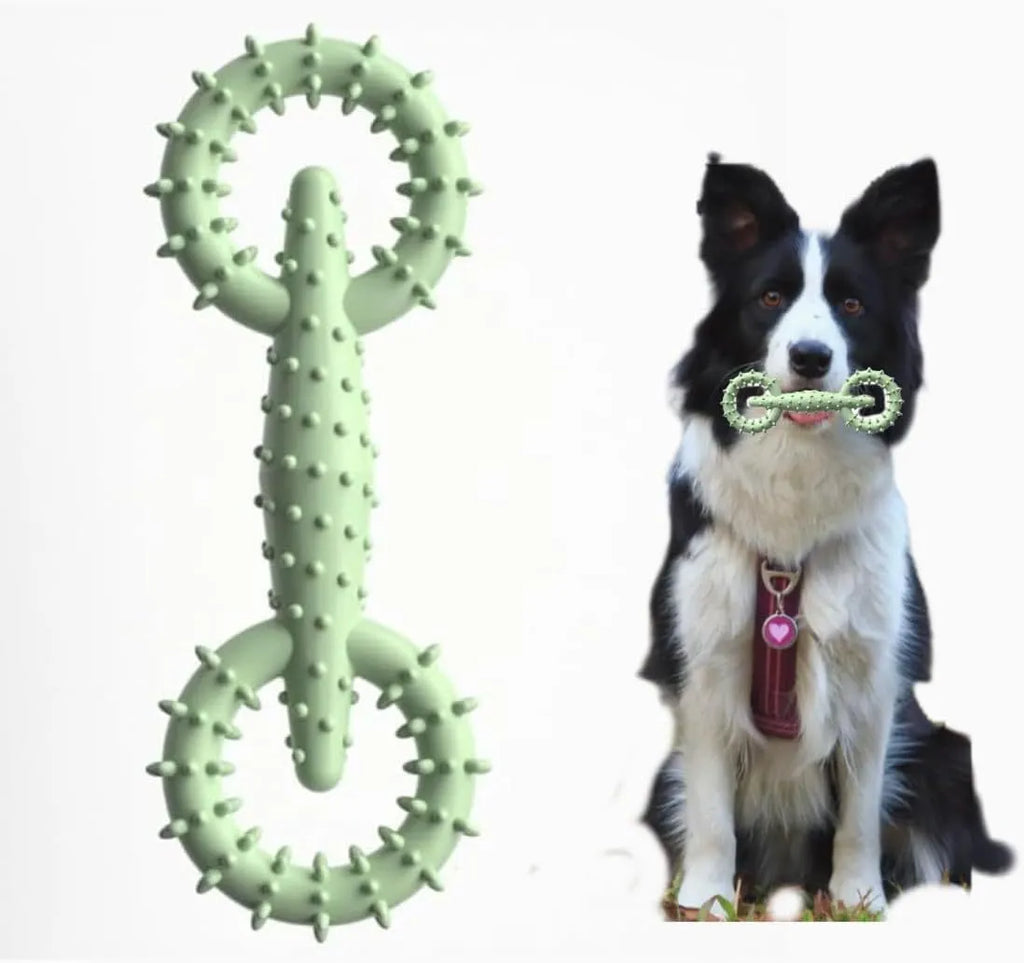 Blue TPR dog chew toy ring for puppy teething on white background