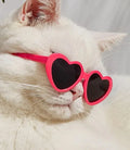 Pet doll sunglasses toy accessory PC full rim frame black film size colour options