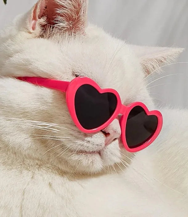 Pet doll sunglasses toy accessory PC full rim frame black film size colour options