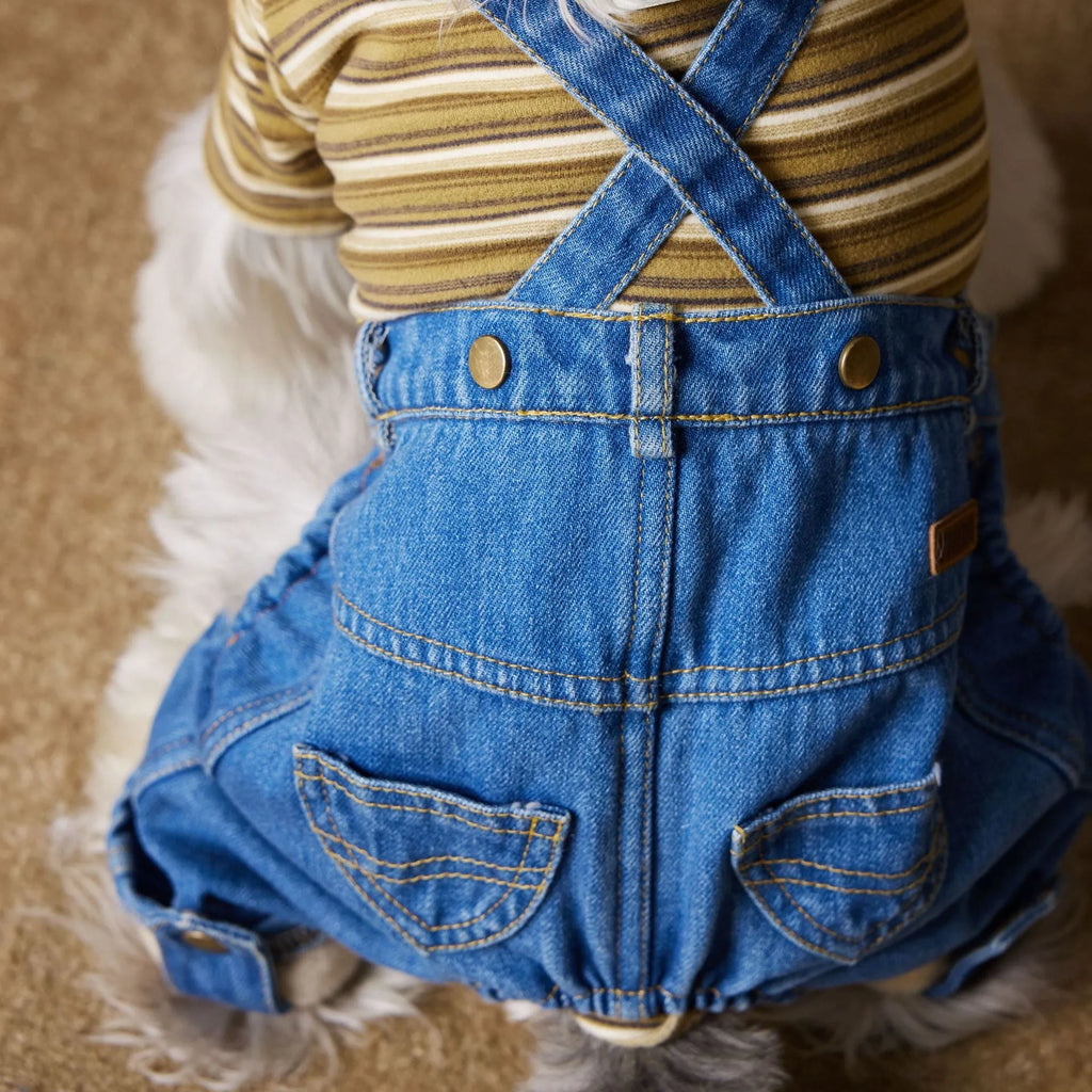 Denim blue fleece-lined thickened dog jeans for autumn winter pet wear with polar fleece interior