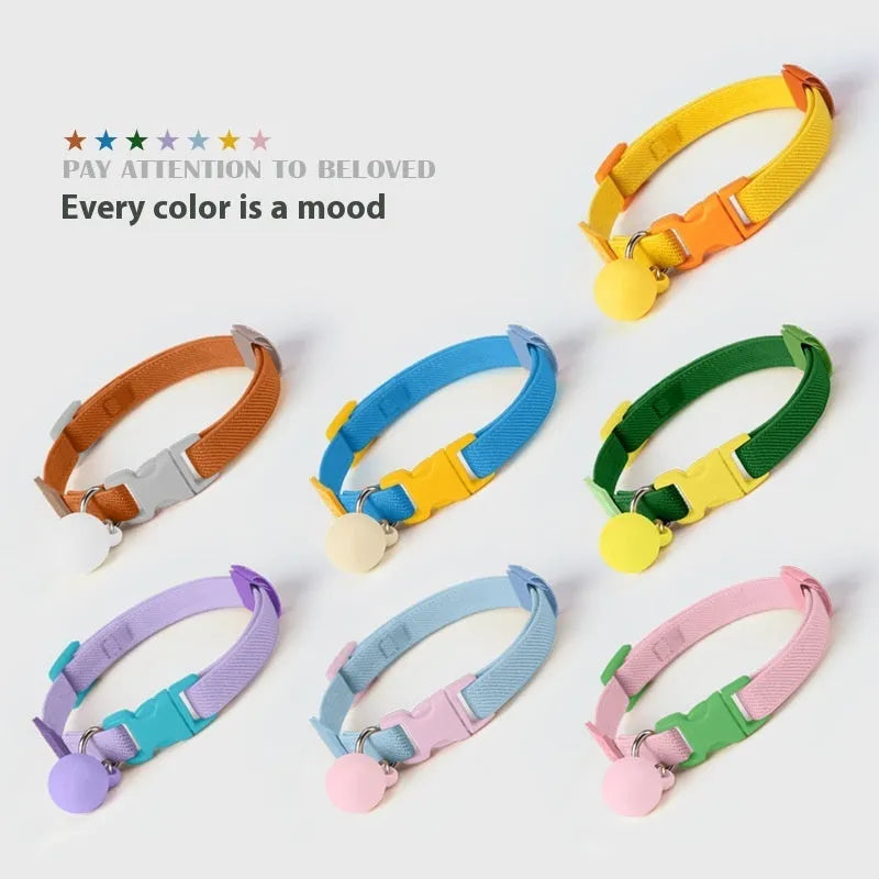 Small dog elastic polyester pet collar in seven colour options showing yellow, pink, and blue examples